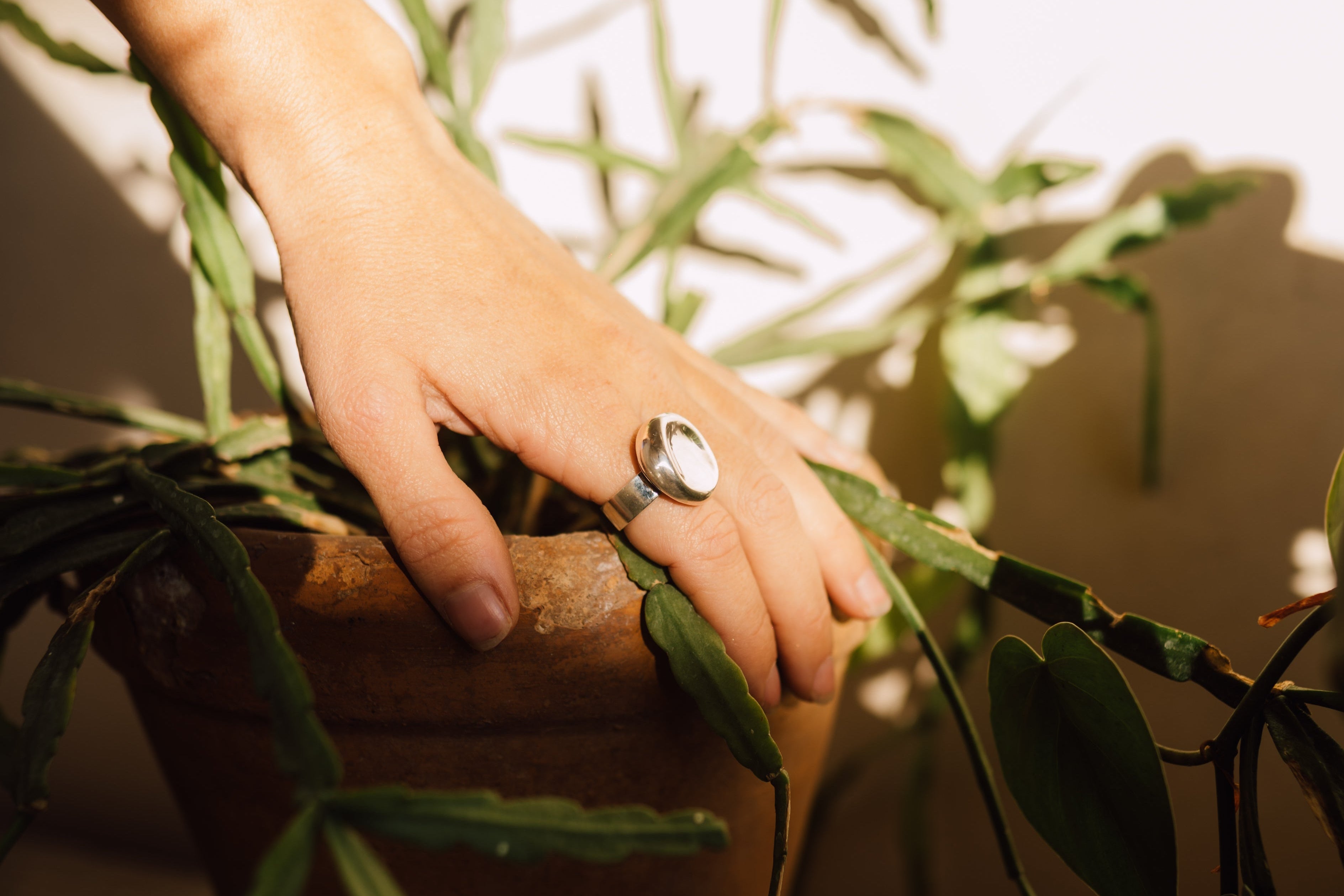 Andrea Ring