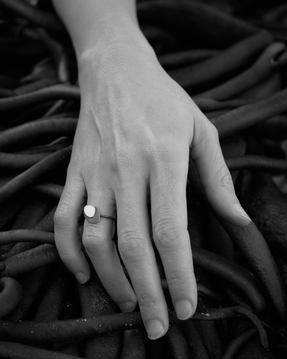 Pīpī Ring