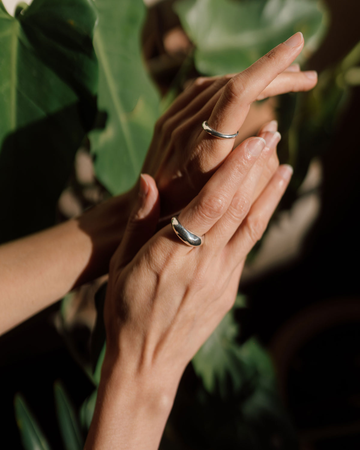 Charlotte Ring