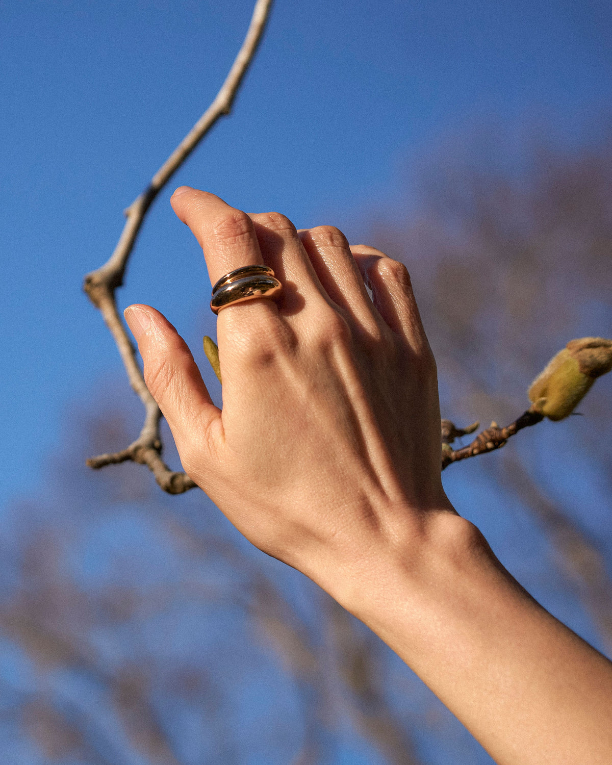 Charlotte Ring Gold